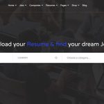 20 Essential WordPress Themes & Plugins for Creating Job Boards