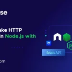 How to Make HTTP Requests in Node.js With Fetch API