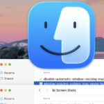 How to Disable Automatic Window Resizing in MacOS